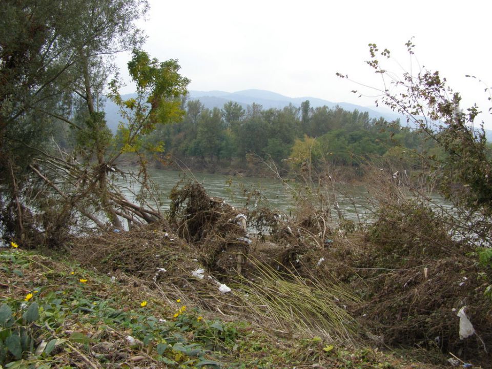 Obržanc - obala save po poplavi - foto povečava