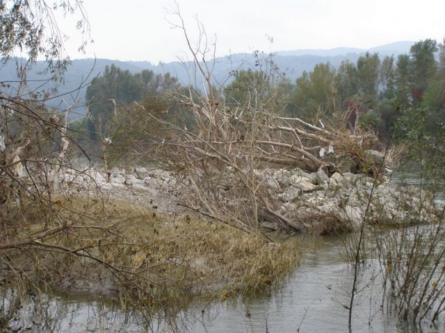 Obržanc - obala save po poplavi - foto