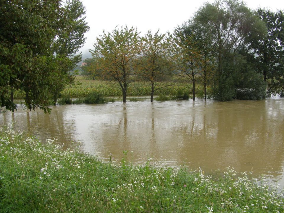 Obržanc - veliki obrež v poplavi - foto povečava