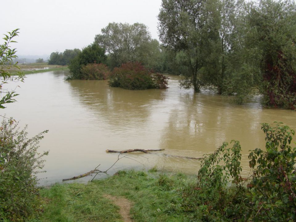 Obržanc - veliki obrež v poplavi - foto povečava