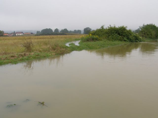 Obržanc - veliki obrež v poplavi - foto