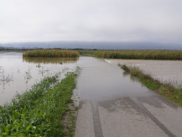 Obržanc - veliki obrež v poplavi - foto