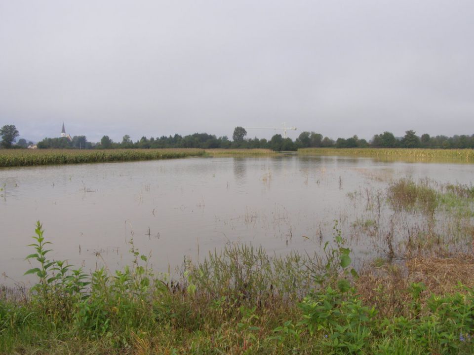 Obržanc - veliki obrež v poplavi - foto povečava