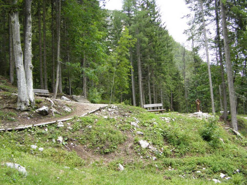 Obržanc-gorenjska 25.06. - foto povečava