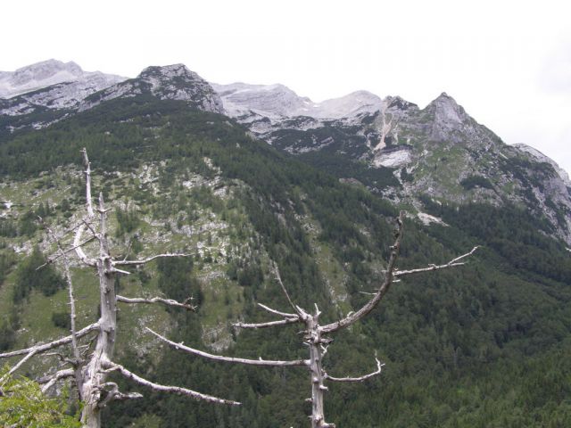 Obržanc-gorenjska 25.06. - foto