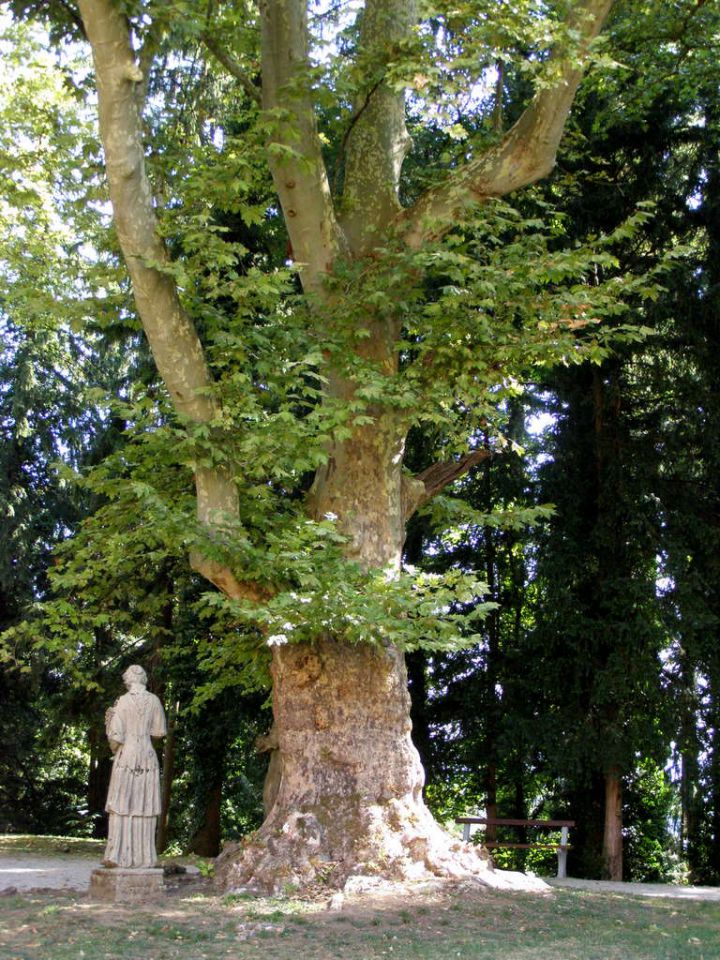 Nekaj Posavskih gradov - obržanc - foto povečava