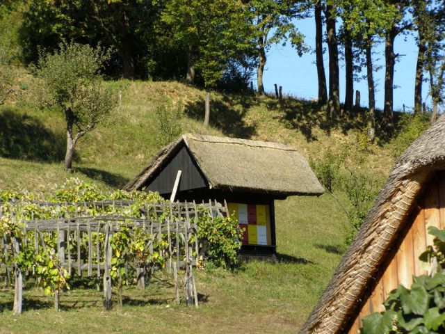Rogaška, Donačka gora, Olimje - obržanc - foto