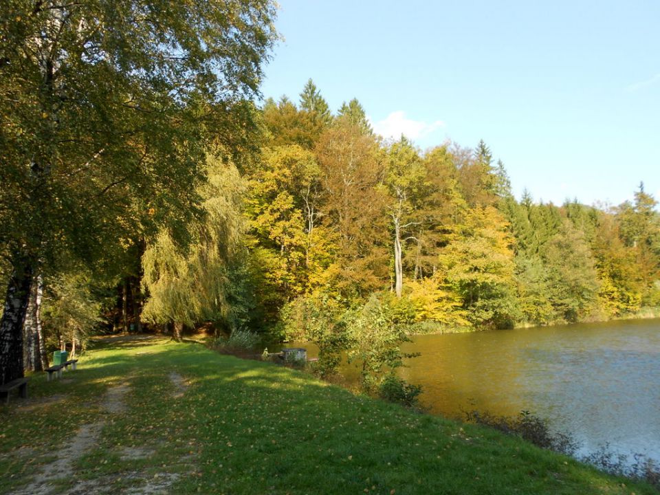 Jesenska solo furca - obržanc - foto povečava