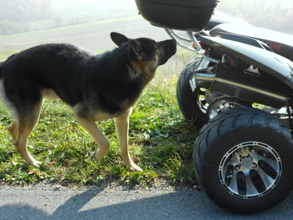 Iz megle na sončne hribe - obržanc - foto povečava