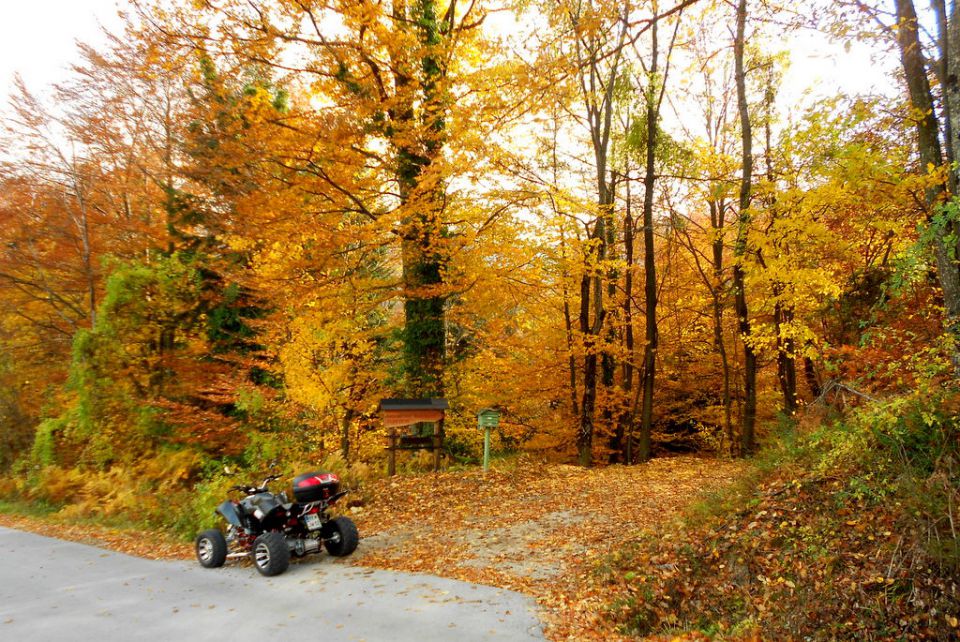 Ko srbijo gume na motorju-obržanc - foto povečava