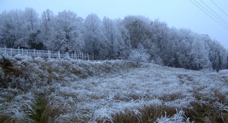 Malo zimskih - obržanc - foto povečava