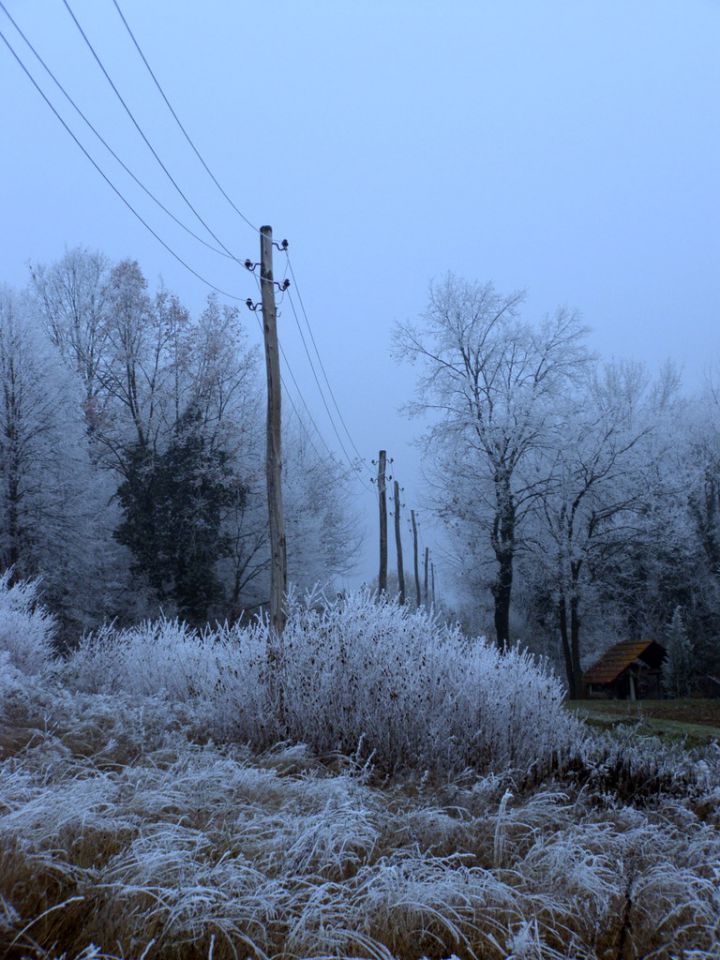 Malo zimskih - obržanc - foto povečava