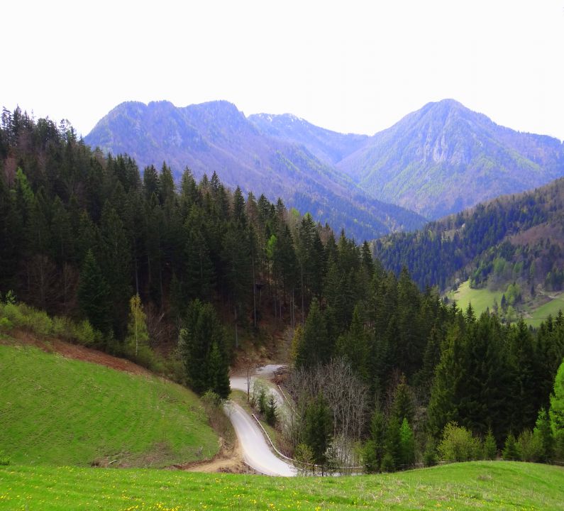 Logarska dolina, Pavličevo sedlo 29.04.2012 - foto povečava