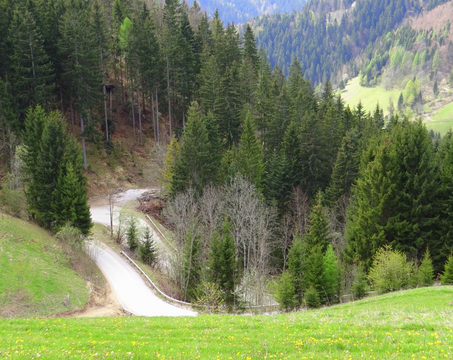 Logarska dolina, Pavličevo sedlo 29.04.2012 - foto povečava