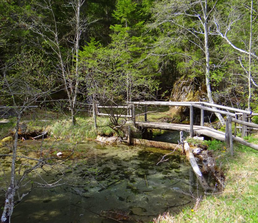 Logarska dolina, Pavličevo sedlo 29.04.2012 - foto povečava