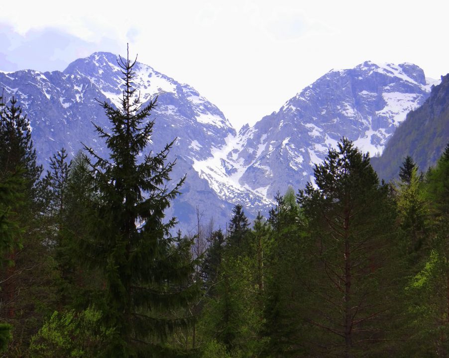 Logarska dolina, Pavličevo sedlo 29.04.2012 - foto povečava