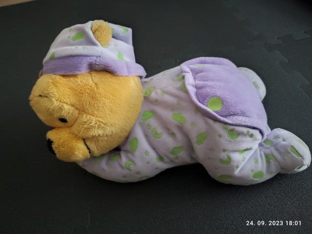 Medvedek PU za spanje - foto