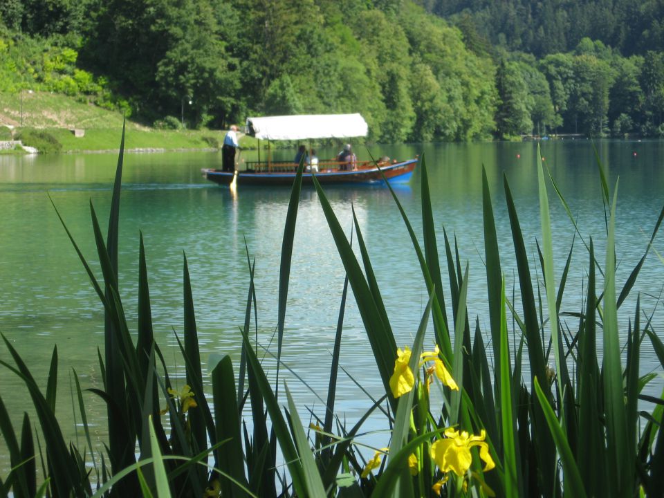 Pohodniška skupina v Kranjski Gori 2012 - foto povečava