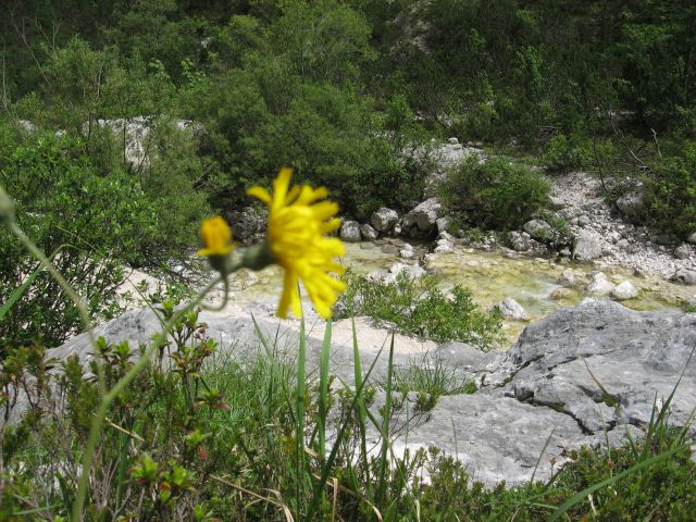 Pohodniška skupina v Kranjski Gori 2012 - foto