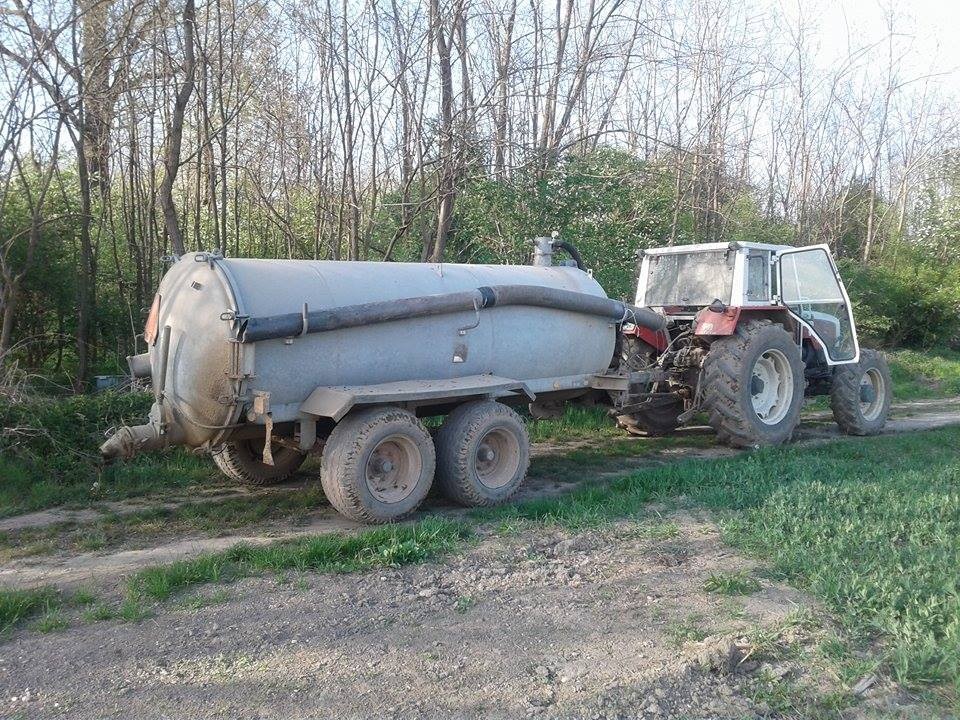 Koruza - foto povečava