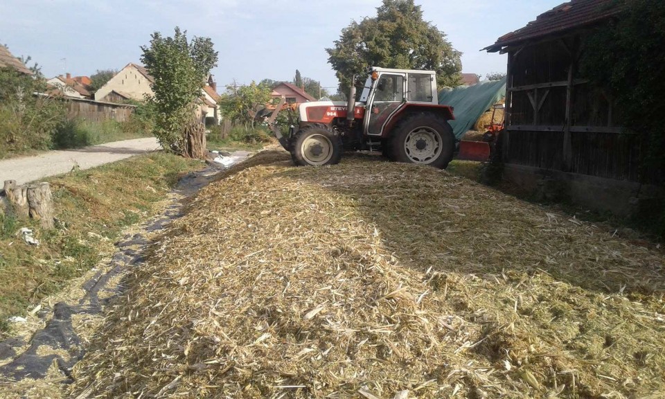 Silaža 2017 - foto povečava