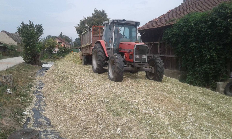 Silaža 2017 - foto povečava