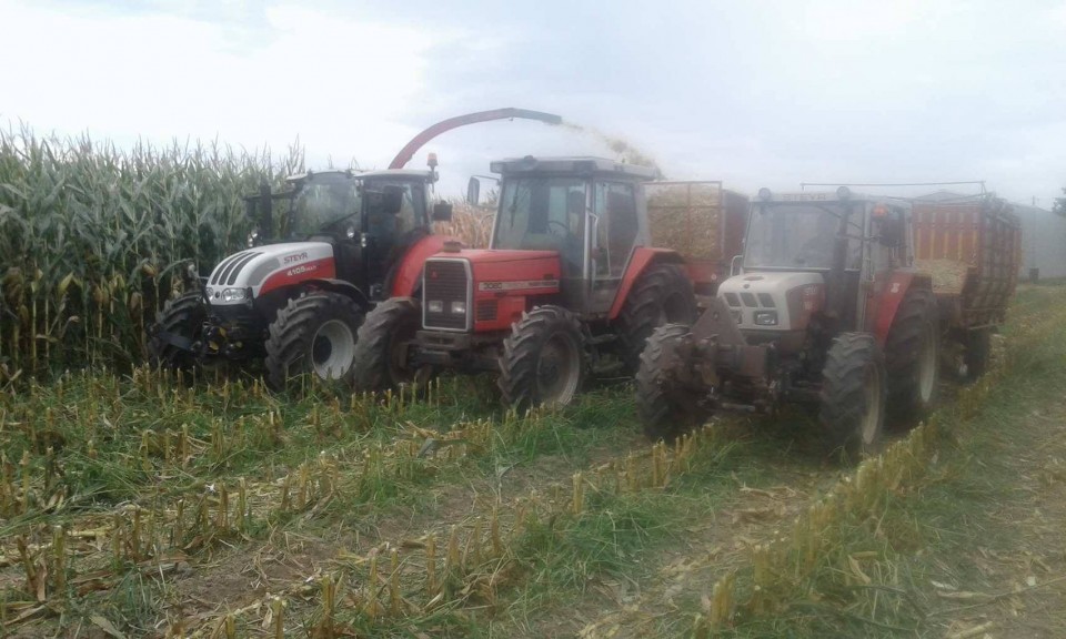 Silaža 2017 - foto povečava