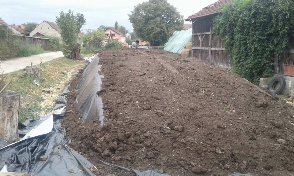 Silaža 2017 - foto povečava
