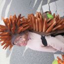 Pustni kostum ježek