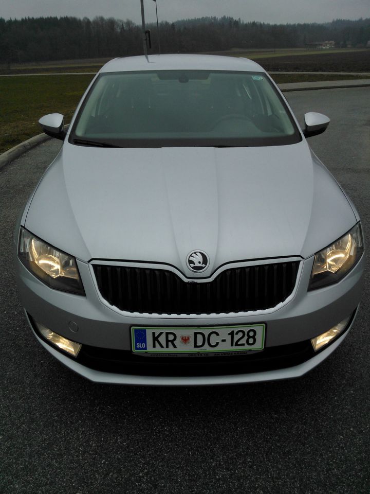 Nova Škoda Octavia - test 30.3.2013 - foto povečava