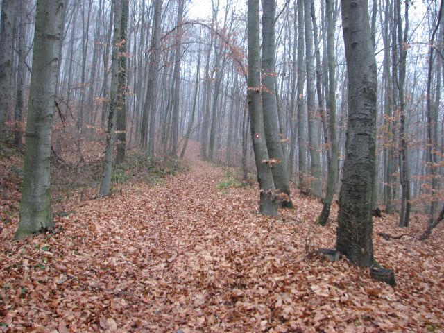 Slovenjegoriška planinska pot - foto