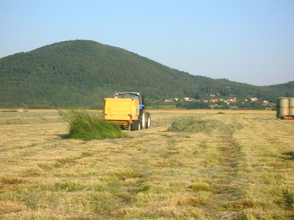 Cerkniško jezero 2012 - foto povečava