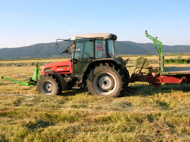 Cerkniško jezero 2012 - foto