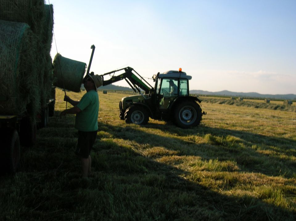 Cerkniško jezero 2012 - foto povečava