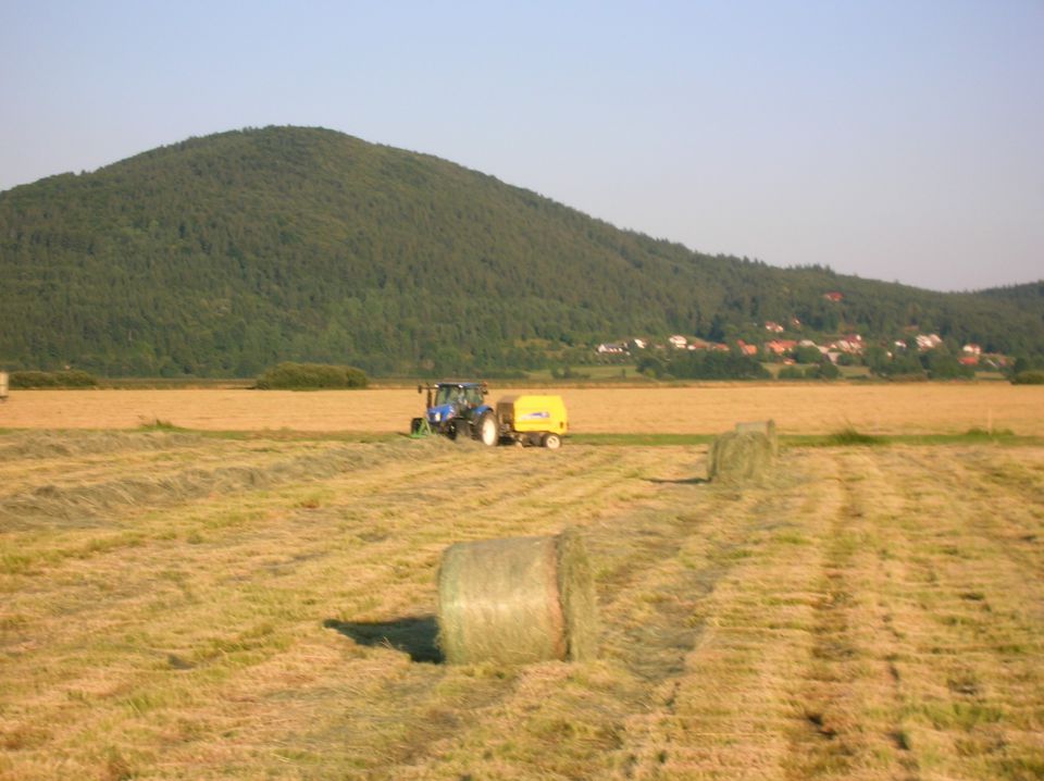 Cerkniško jezero 2012 - foto povečava