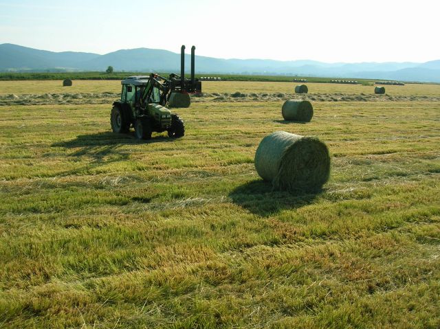 Cerkniško jezero 2012 - foto