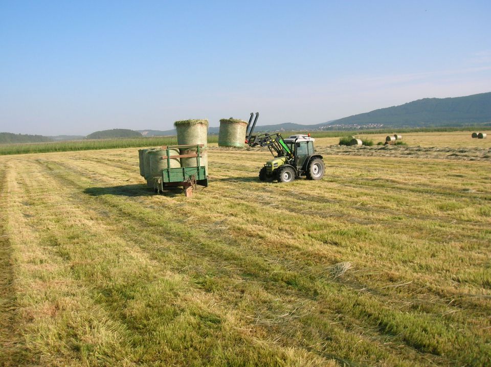 Cerkniško jezero 2012 - foto povečava