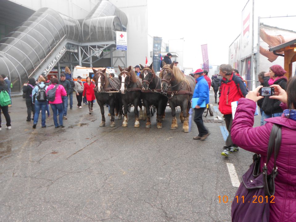 FieraCavalli 10.11.12 - foto povečava