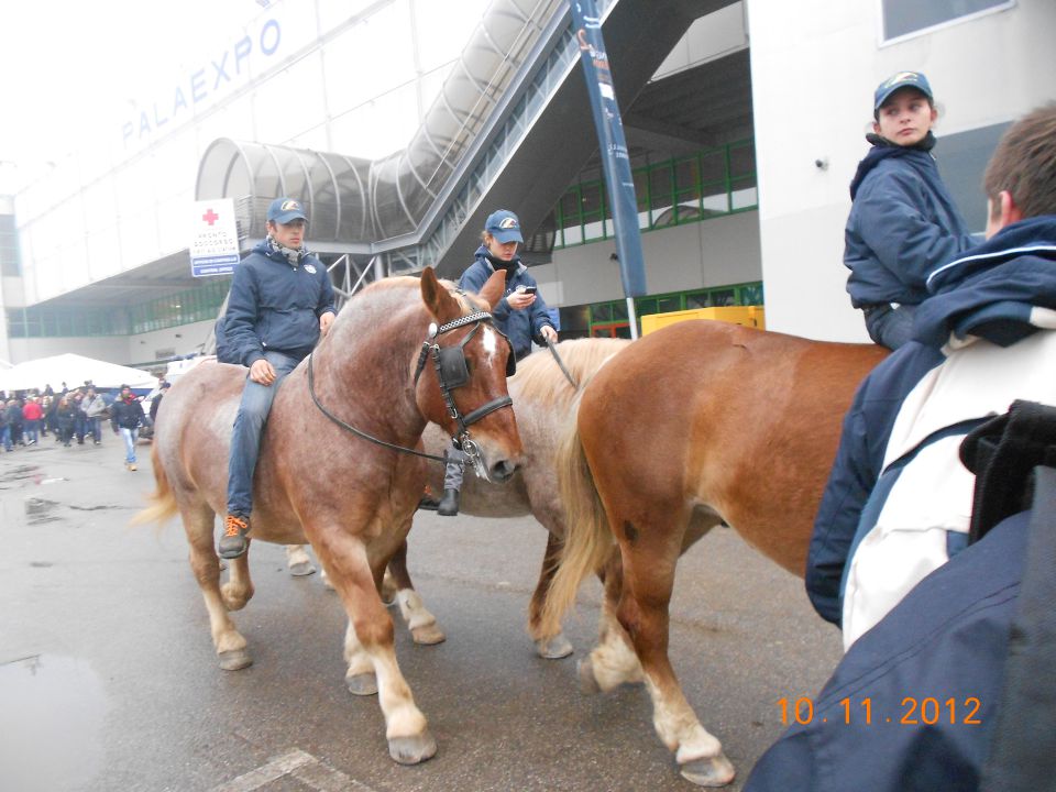 FieraCavalli 10.11.12 - foto povečava