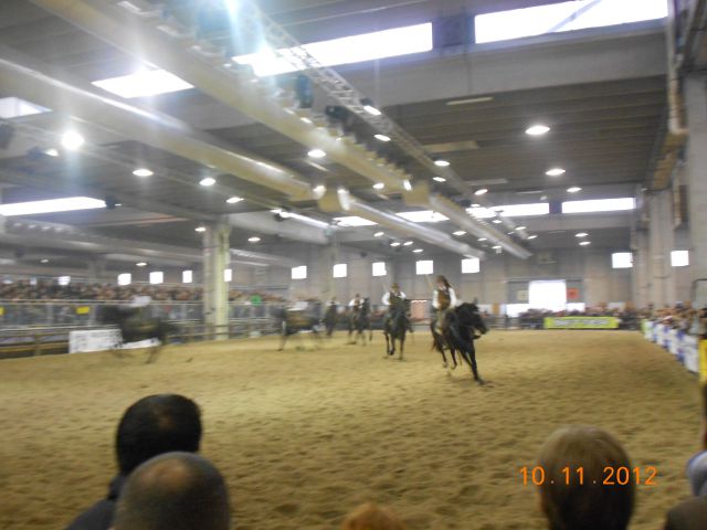 FieraCavalli 10.11.12 - foto