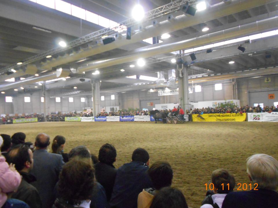 FieraCavalli 10.11.12 - foto povečava