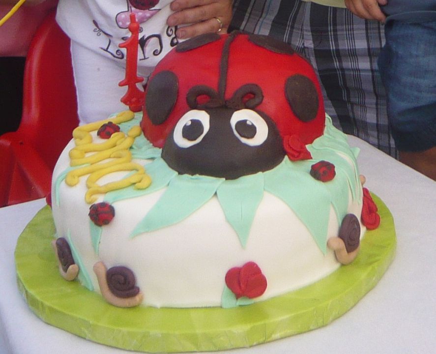 Torta pikapolonica
