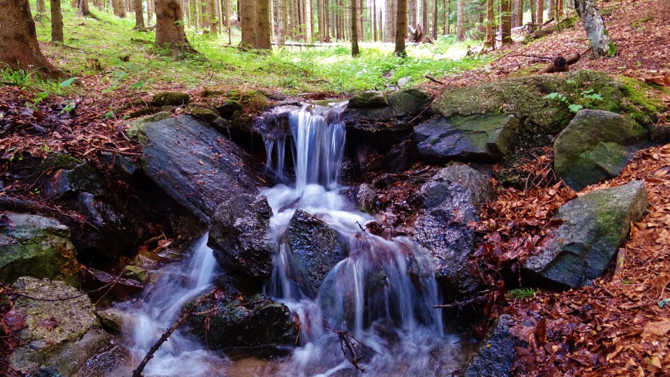 Potoček, potok