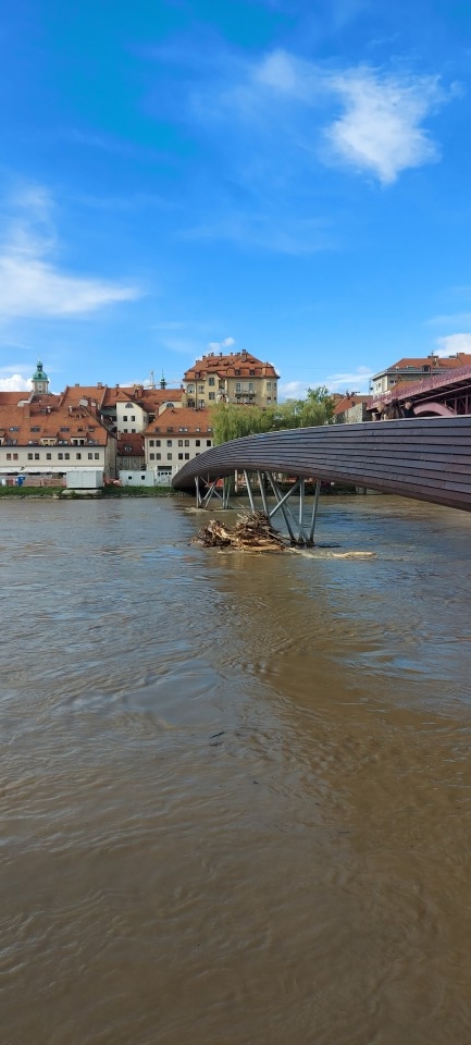 Stanko 2023 - foto povečava