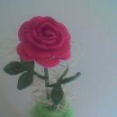 Roza vrtnica