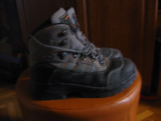 Planinski čevlji Alpina št.38, 10€