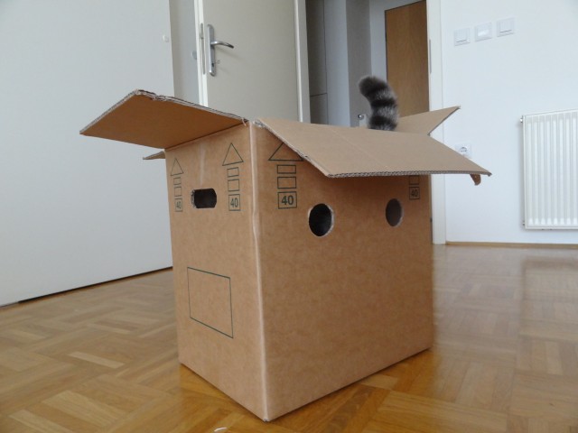 Mačja hiša - foto