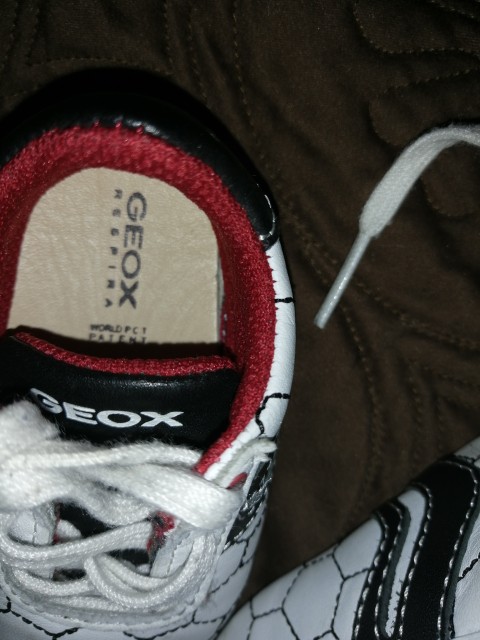 Geox čevlji 17 - foto