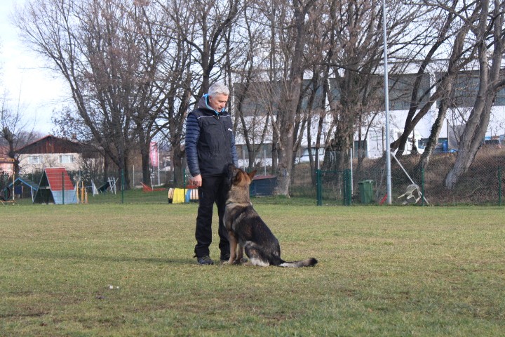 TRENING MB  - foto povečava