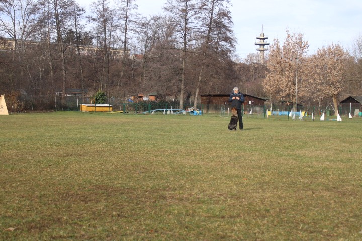 TRENING MB  - foto povečava